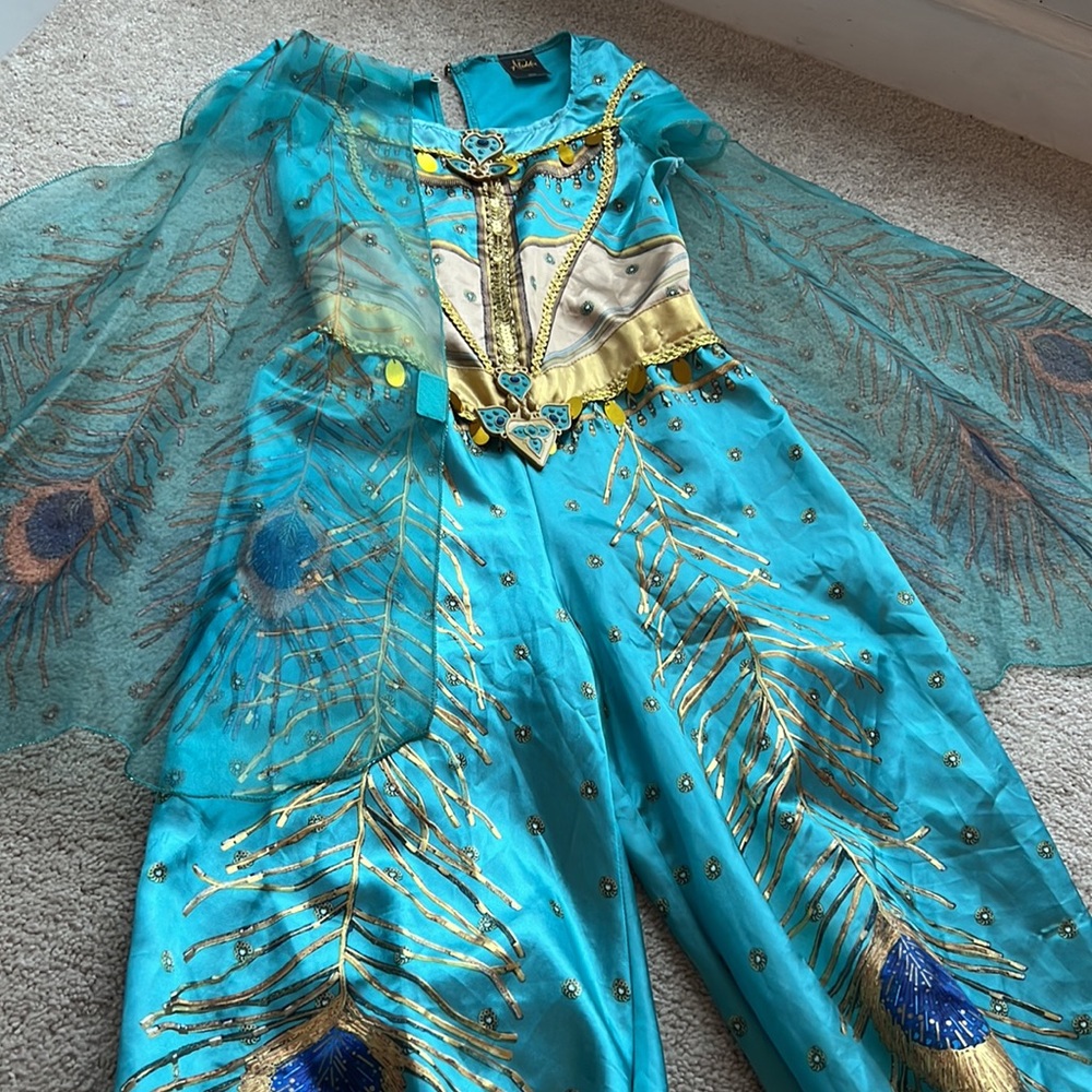 Disney Aladdin movie- Jasmine Disney costume